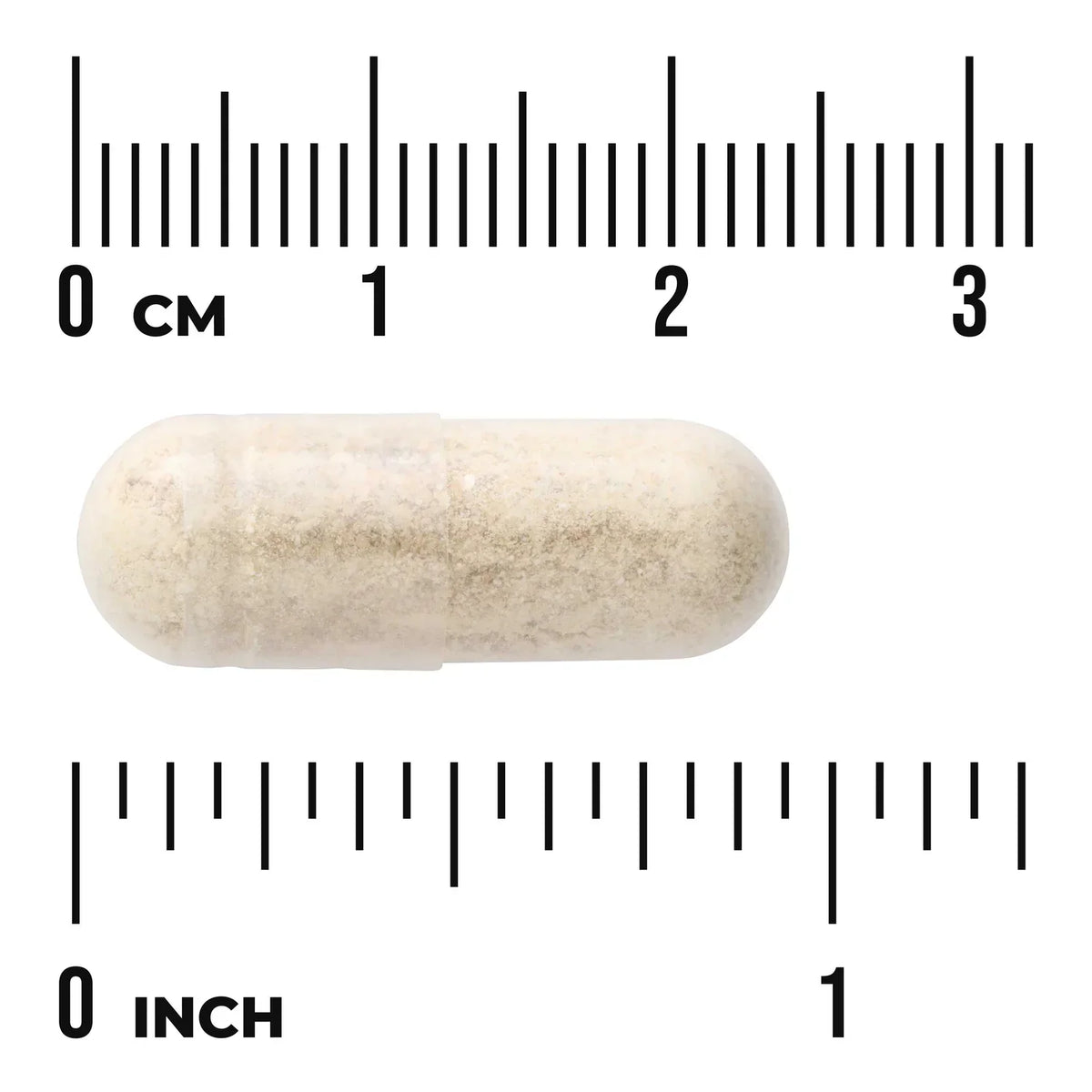Green Lipped Mussel