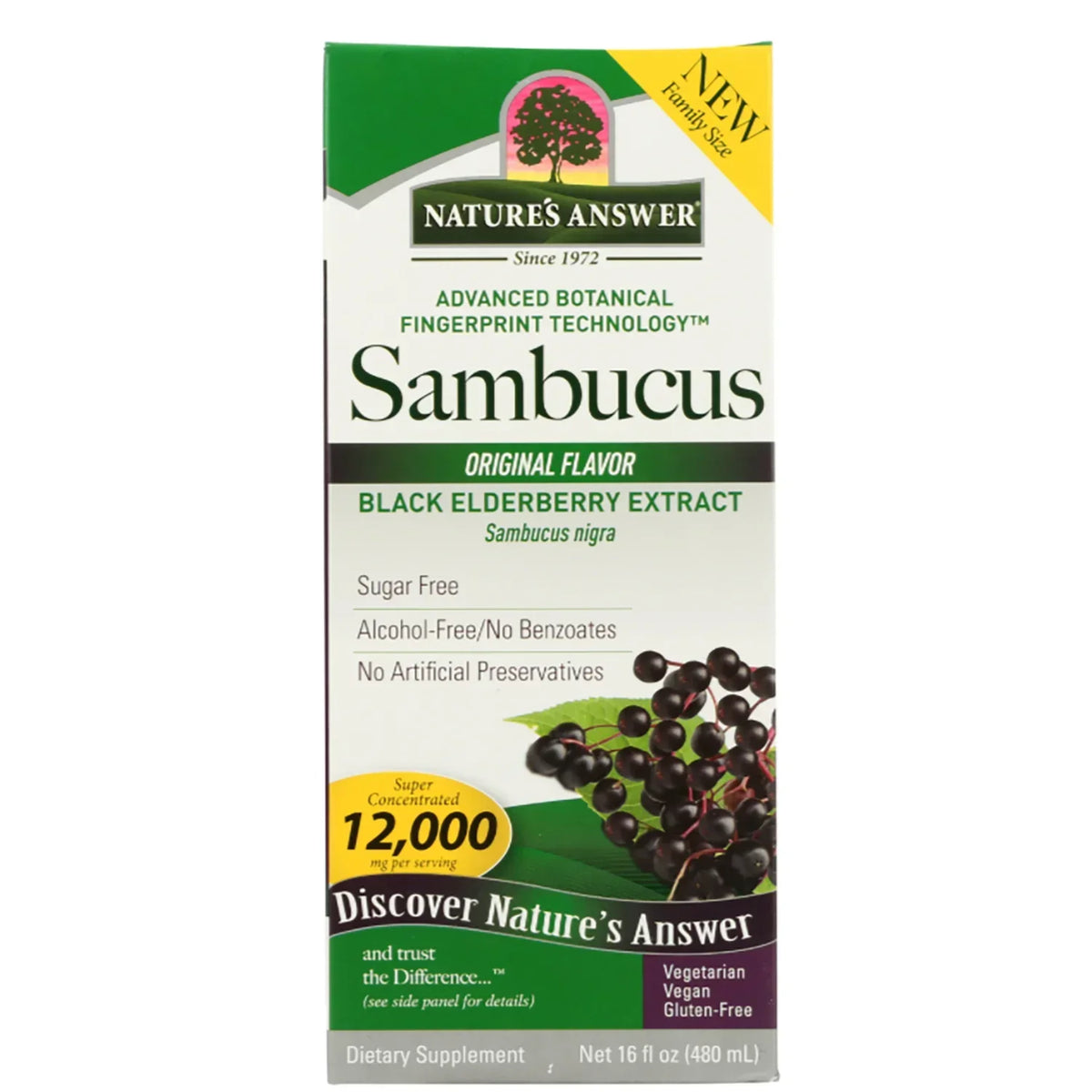 Sambucus Black Elderberry