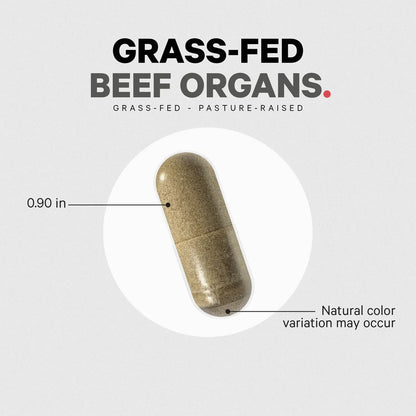 Grass-Fed Beef Organs