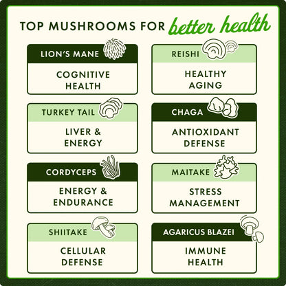 Turkey Tail Mushroom